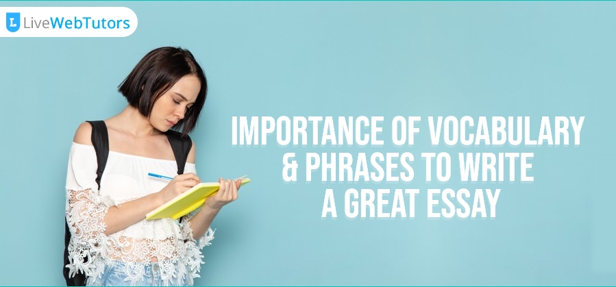 Importance of Vocabulary & Phrases to Write A Great Essay